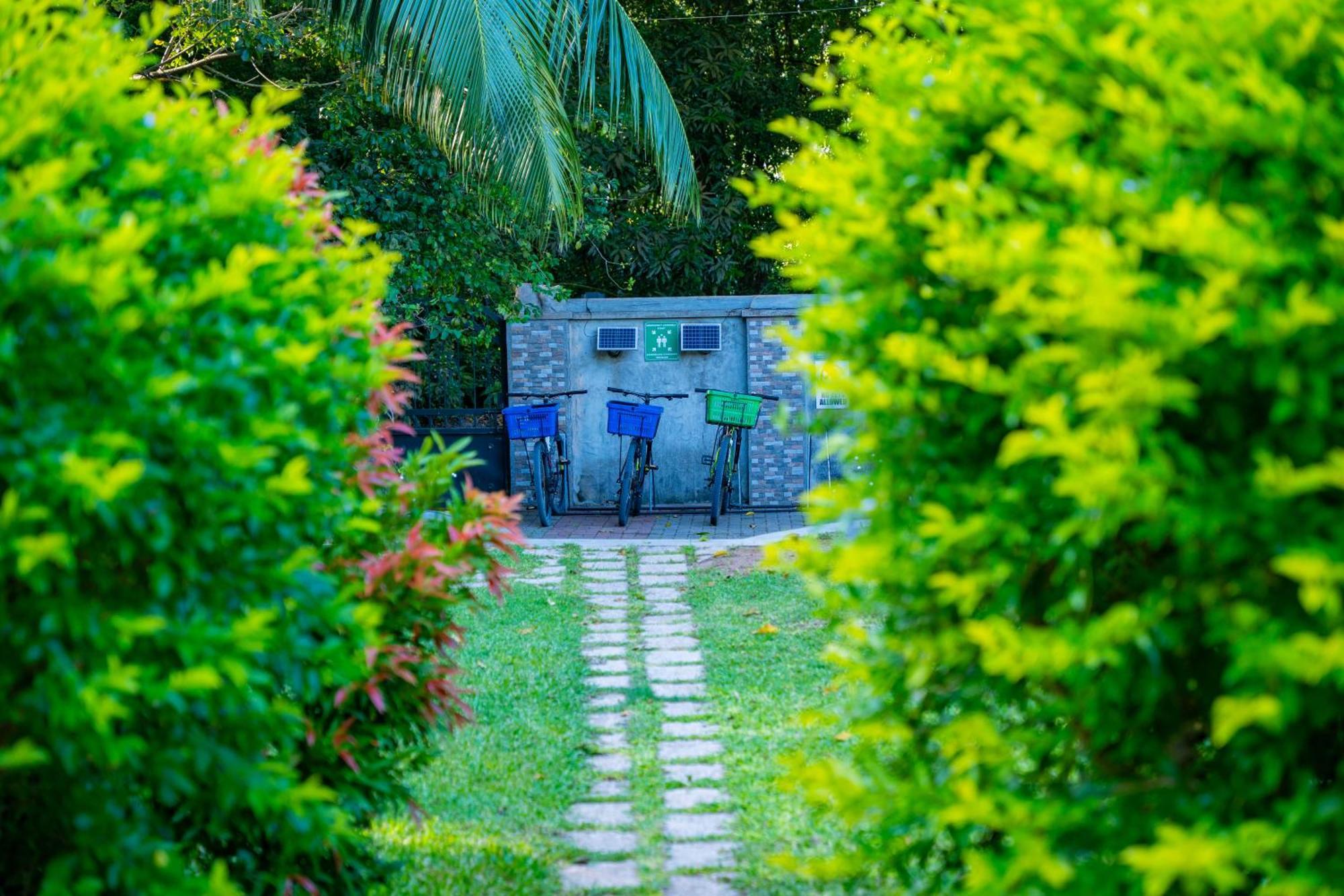 Pension Michel Villa Roche Bois La Digue Exterior foto
